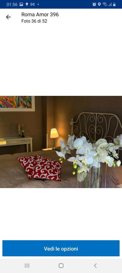 Roma San Pietro Apartment ภายนอก รูปภาพ