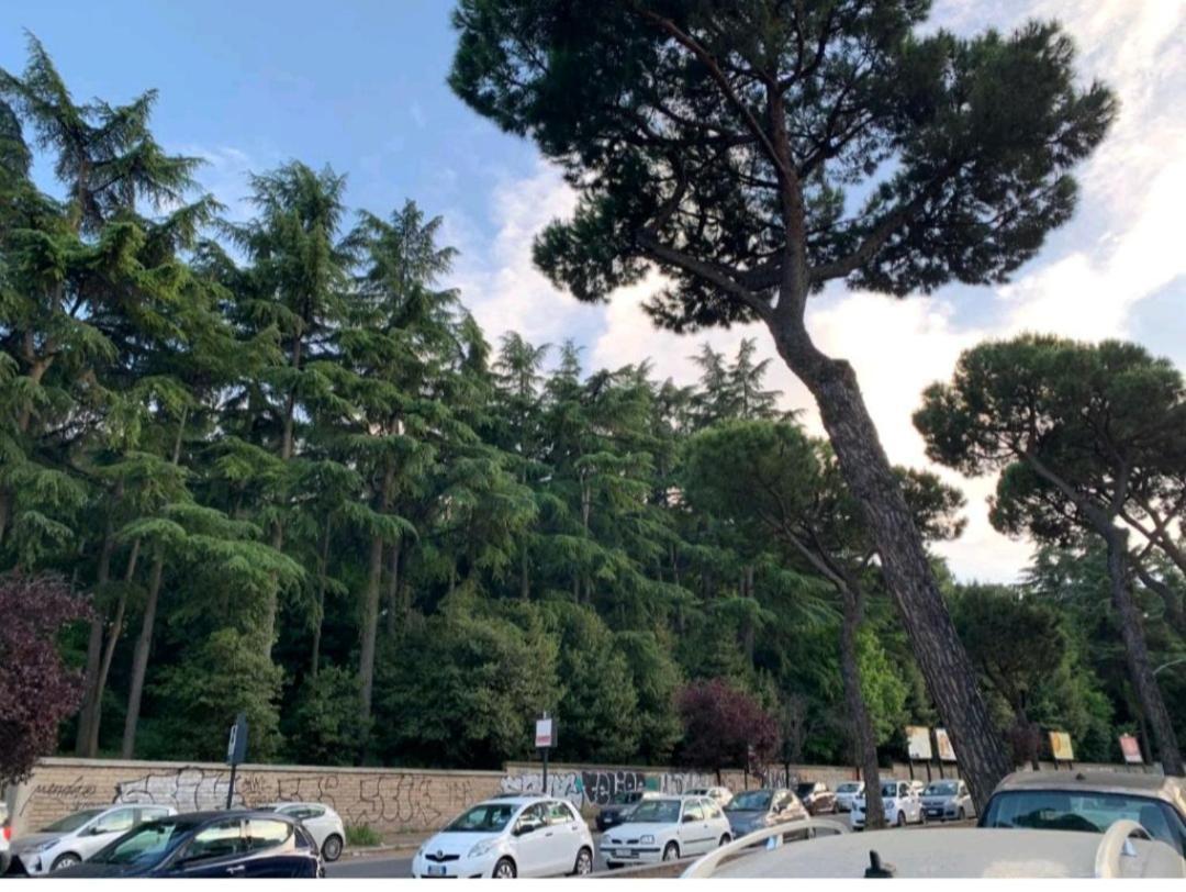Roma San Pietro Apartment ภายนอก รูปภาพ